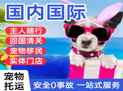 敦煌空运地址国际宠物托运 【国